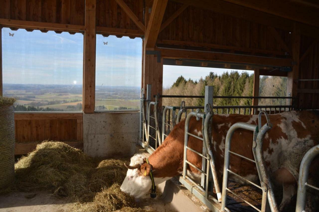 Bio-Bauernhof Haunschmid Villa Ardagger Markt Eksteriør billede